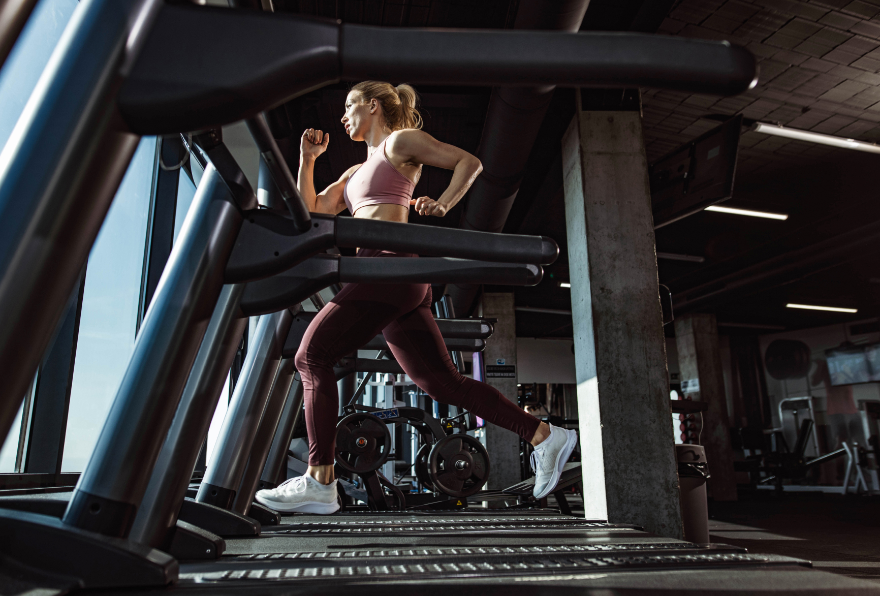 Commercial Gym Equipment Australia