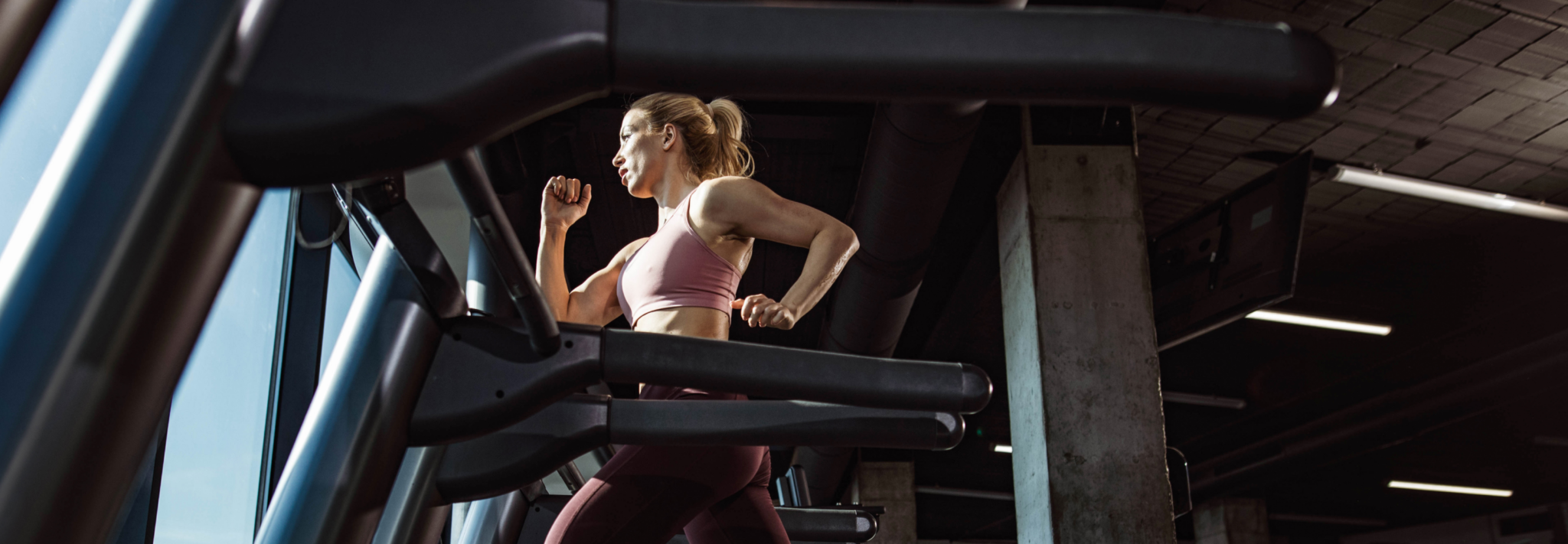 Commercial Gym Equipment Australia