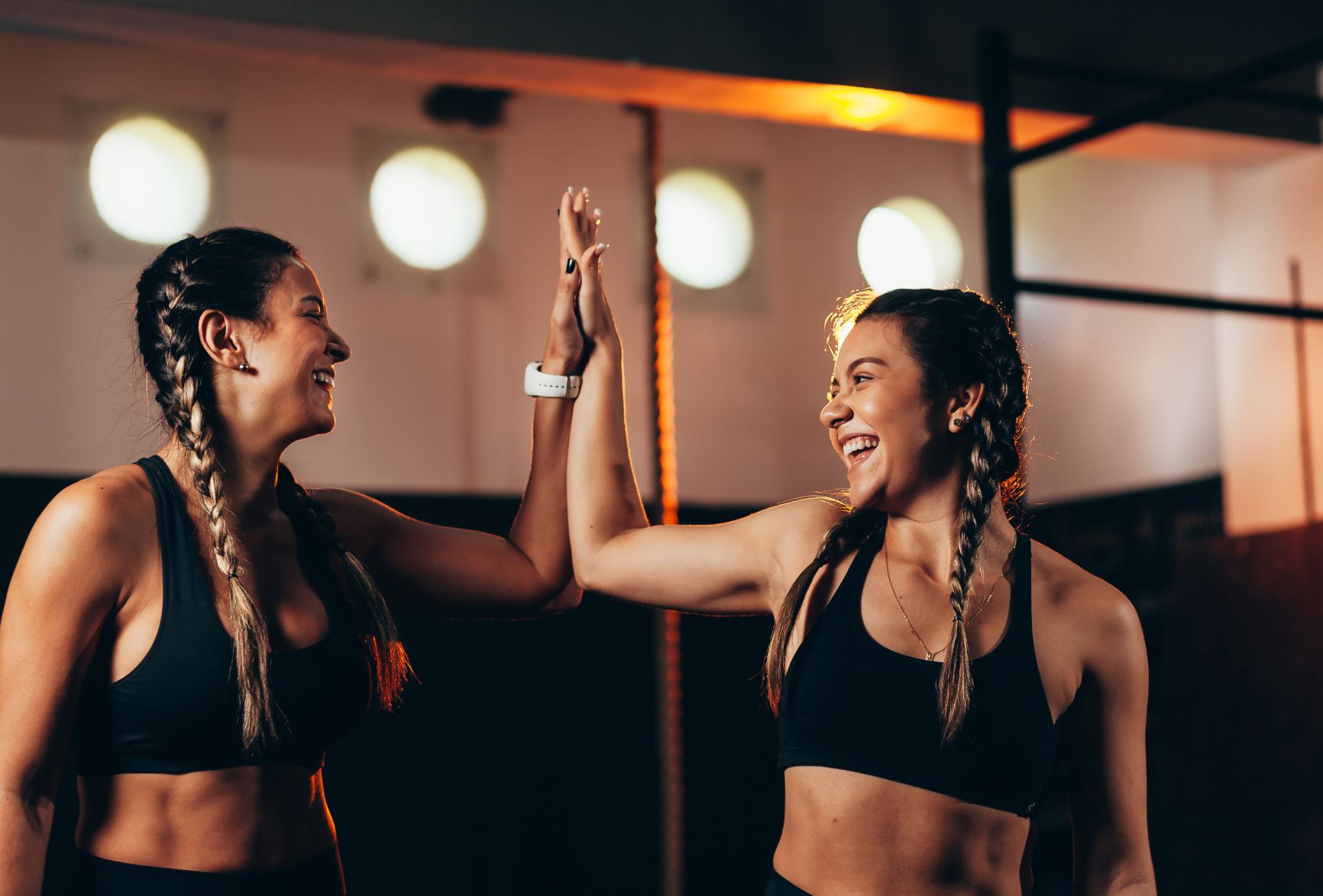 gym loyalty program